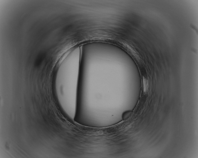 X0000093430675200710120918