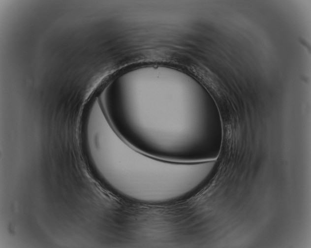 X0000093430676200710120918