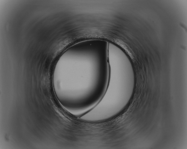 X0000093430677200710120918