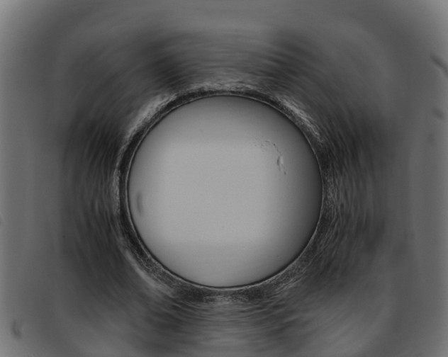 X0000093430678200710120918