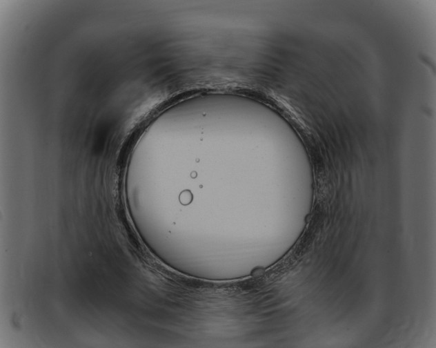 X0000093430679200710120918