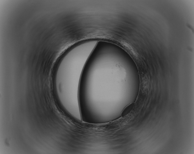 X0000093430680200710120918