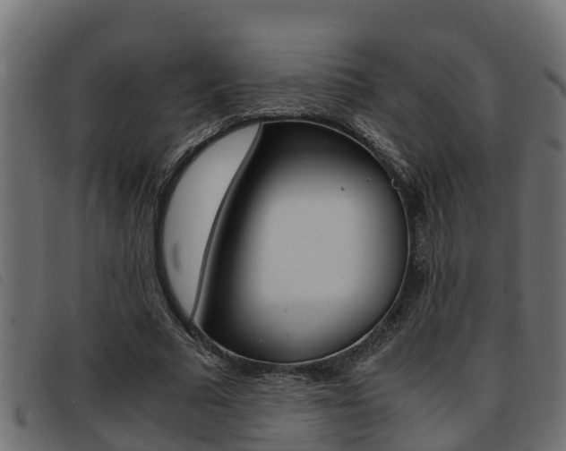 X0000093430681200710120918