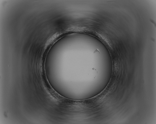 X0000093430682200710120918