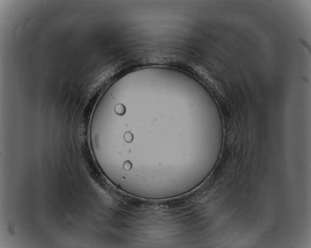 X0000093430683200710120918