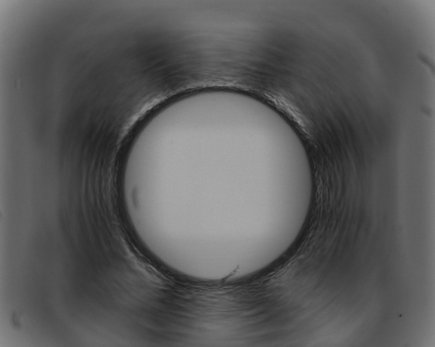 X0000093430684200710120918