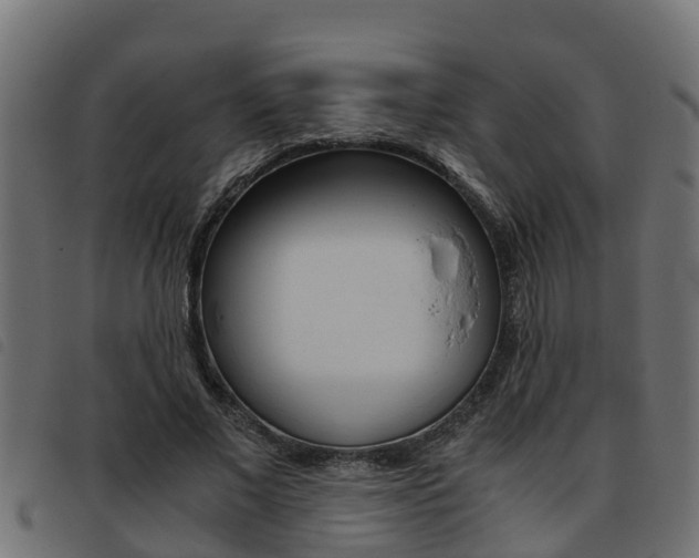 X0000093430685200710120918