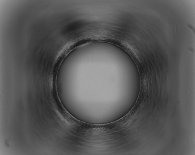X0000093430686200710120918