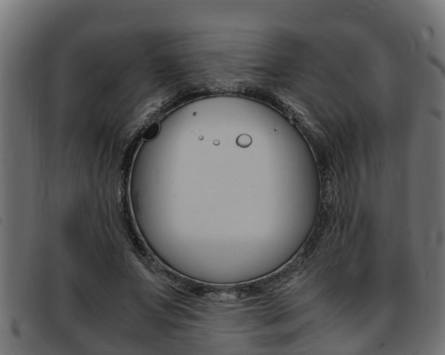X0000093430687200710120918