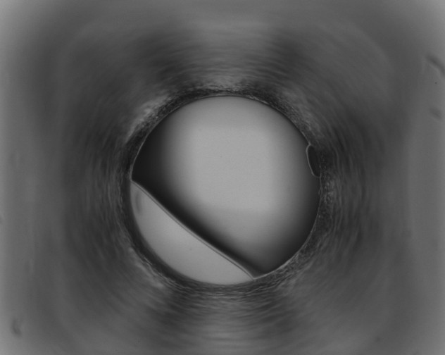 X0000093430688200710120918