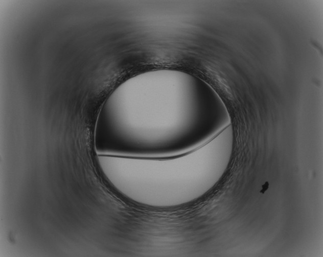 X0000093430689200710120918