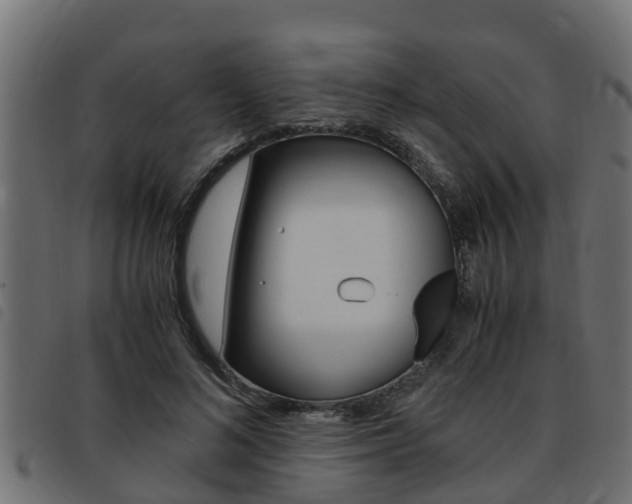 X0000093430692200710120918