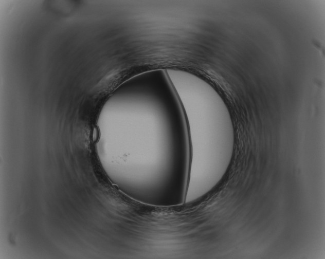 X0000093430693200710120918