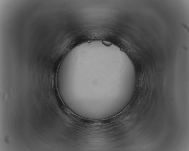 X0000093430695200710120918