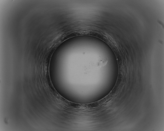 X0000093430697200710120918