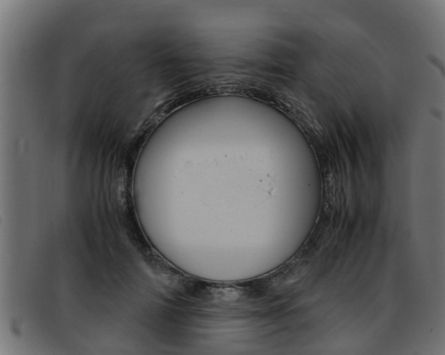 X0000093430698200710120918