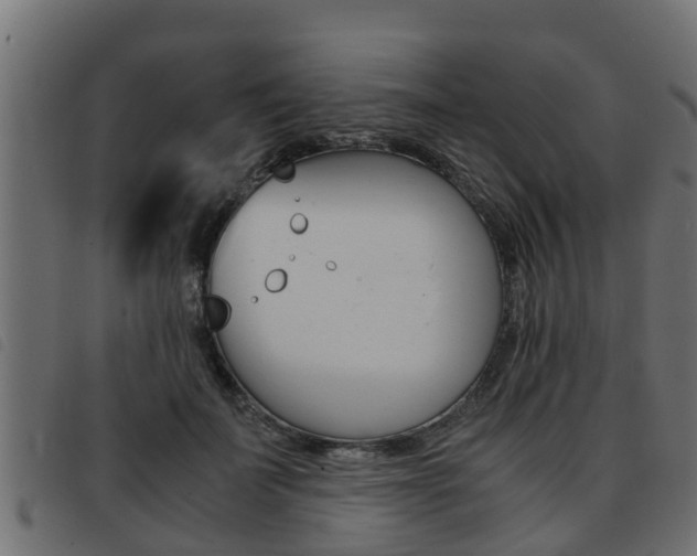 X0000093430699200710120918
