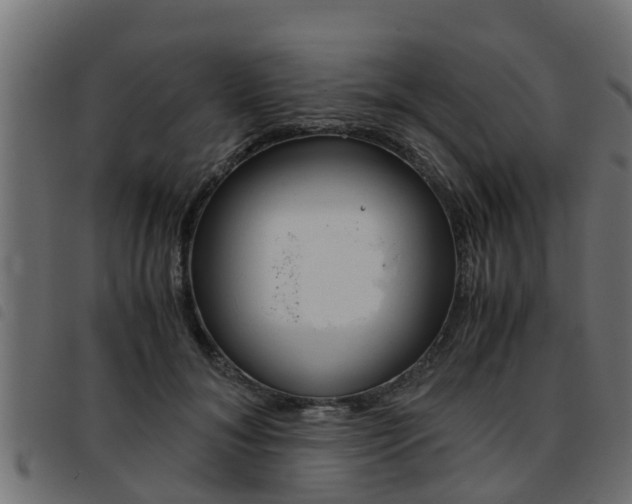 X0000093430700200710120918