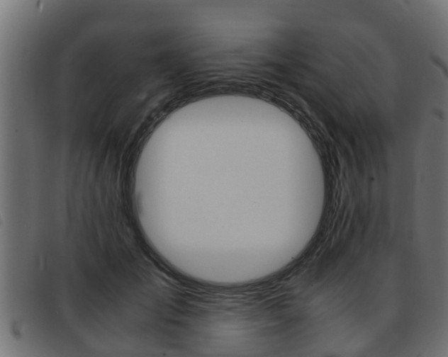 X0000093430701200710120918
