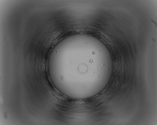 X0000093430702200710120918