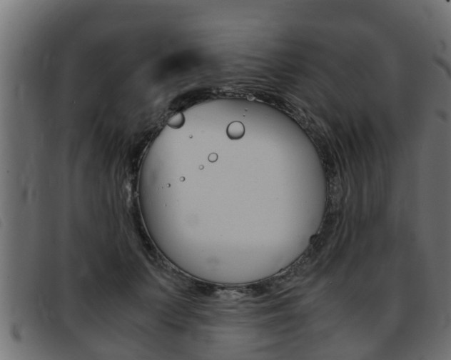 X0000093430703200710120918