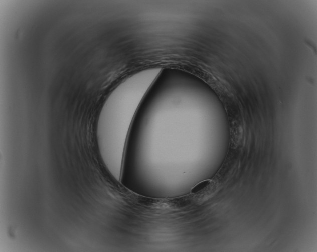 X0000093430704200710120918