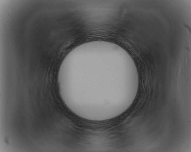 X0000093430705200710120918