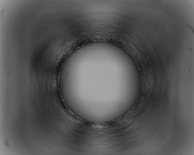 X0000093430706200710120918