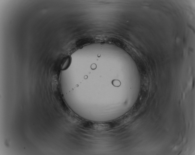 X0000093430707200710120918