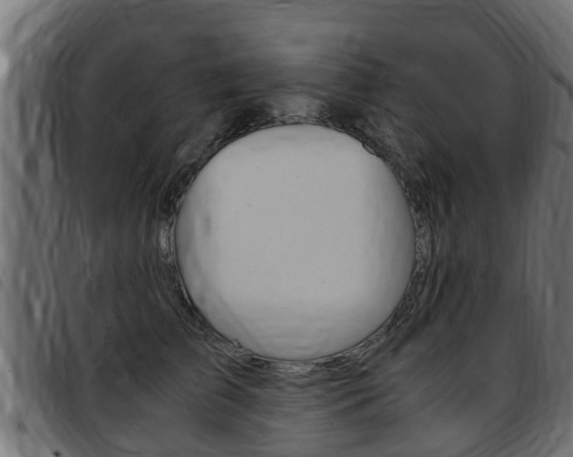 X0000093430709200710120918