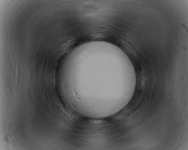 X0000093430710200710120918