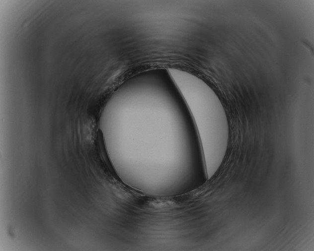 X0000093430712200710120918