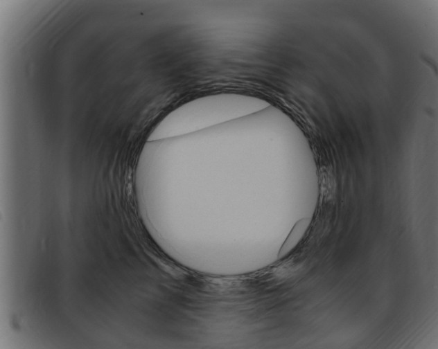 X0000093430713200710120917