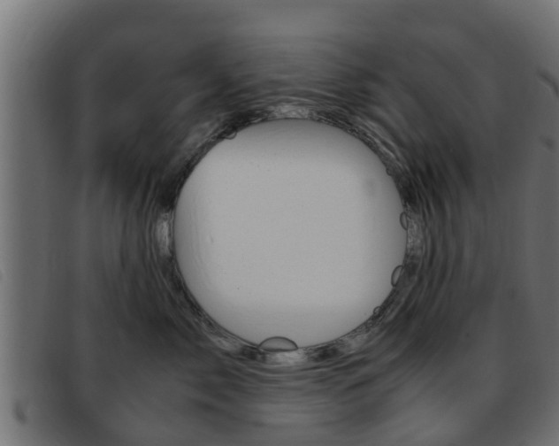 X0000093430717200710120917