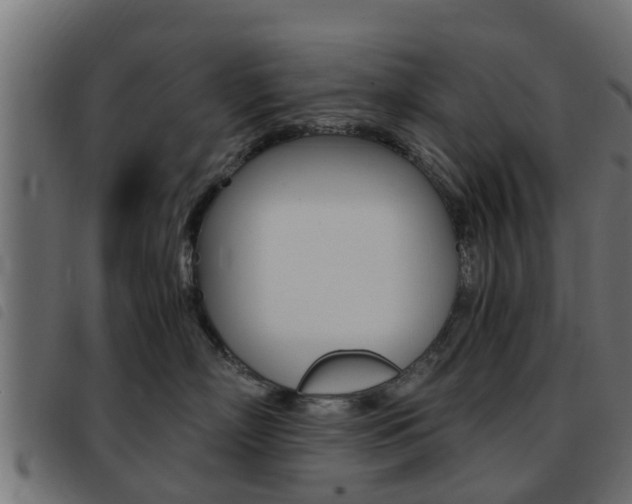 X0000093430718200710120917