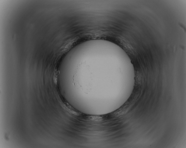 X0000093430719200710120917