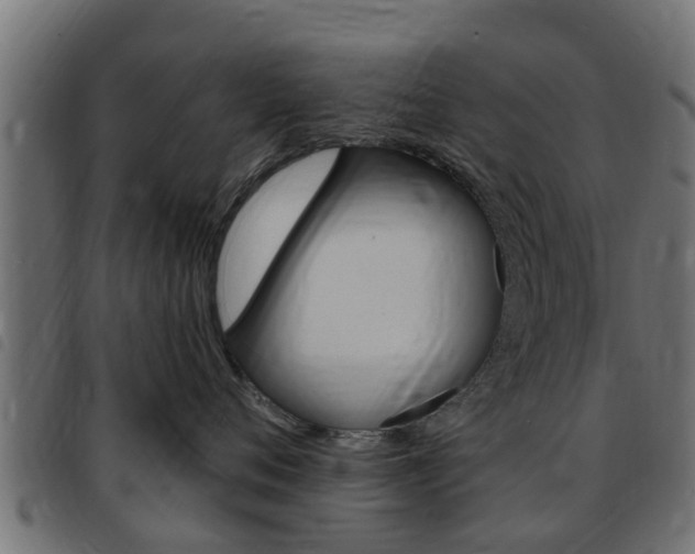 X0000093430720200710120917