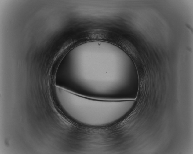 X0000093430722200710120917