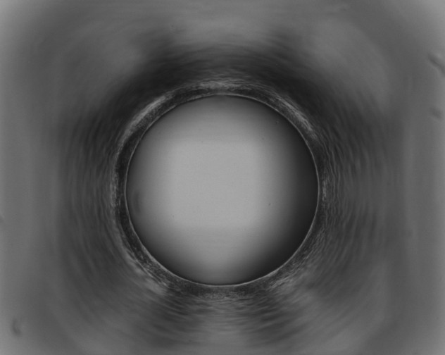 X0000093430724200710120917