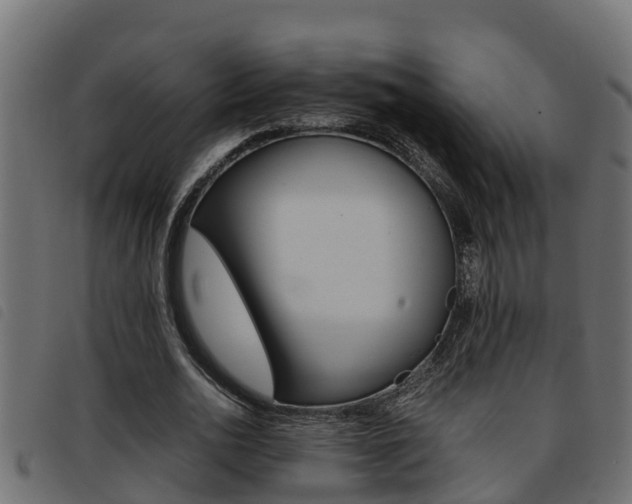 X0000093430726200710120917