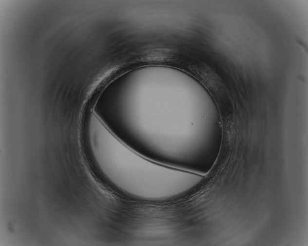 X0000093430728200710120917