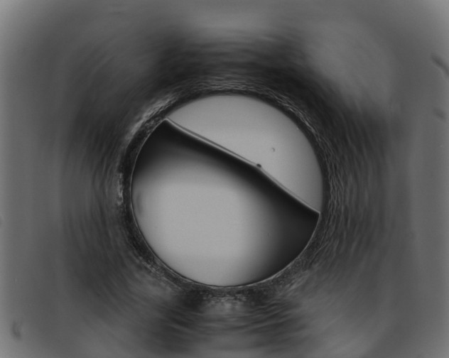 X0000093430731200710120917
