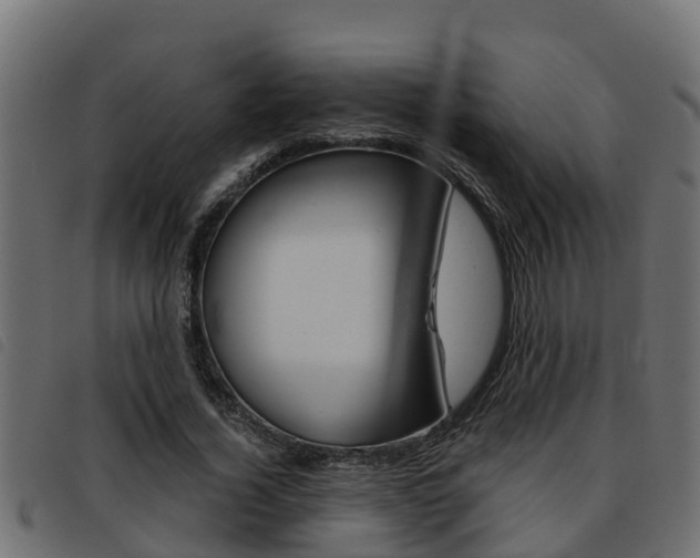 X0000093430732200710120917