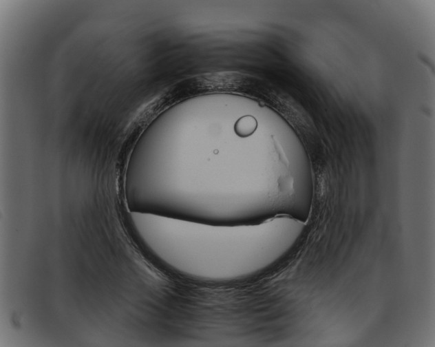 X0000093430733200710120917
