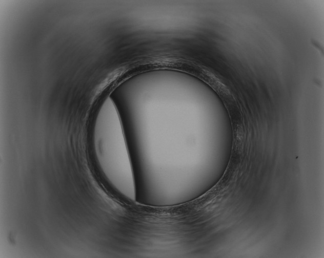 X0000093430734200710120917