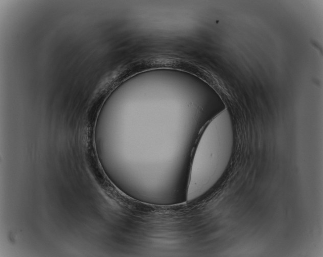 X0000093430736200710120917