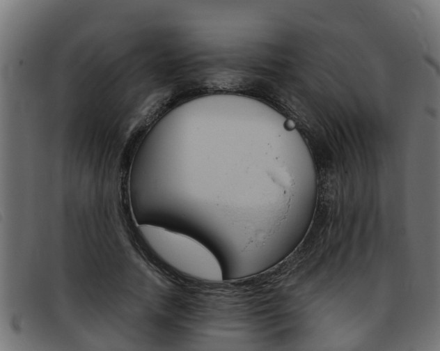 X0000093430738200710120917
