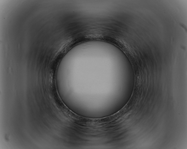 X0000093430739200710120917