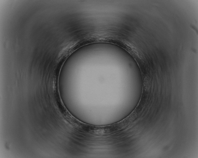 X0000093430740200710120917