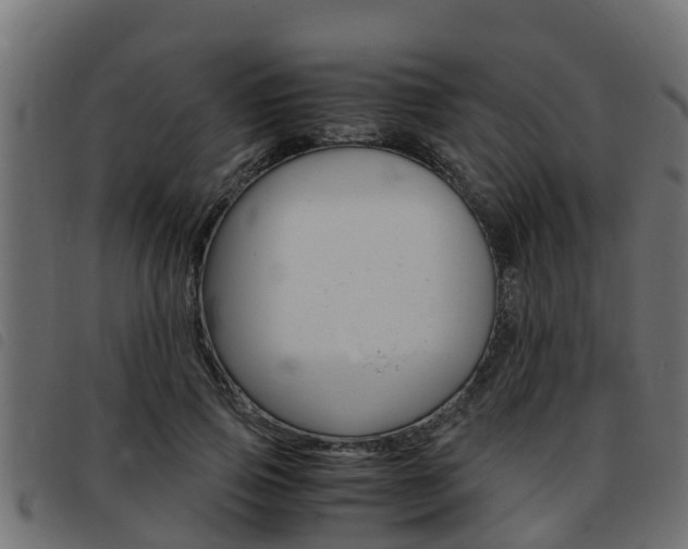 X0000093430741200710120917